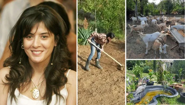 "კრედიტი ავიღე და ამ სახლის რეაბილიტაცია დავიწყე... მოგვყავს მოსავალი, ნაწილს ოჯახისთვის მოვიხმართ" - ერთ დროს ცნობილი დიზაინერი მიწას შეეჭიდა: თათა ვარდანაშვილის საოჯახო მეურნეობა თელავში