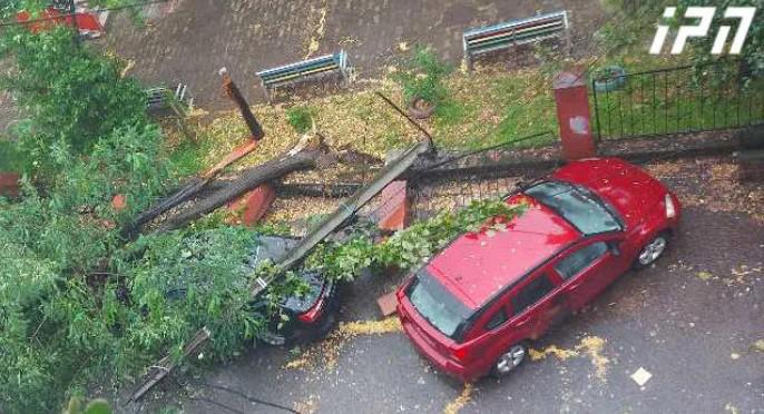 "შემთხვევით გადავურჩით, საშინელი მდგომარეობაა. ვითხოვთ დახმარებას“ - სტიქია ბათუმში -ძლიერმა ქარმა ხეები მოგლიჯა