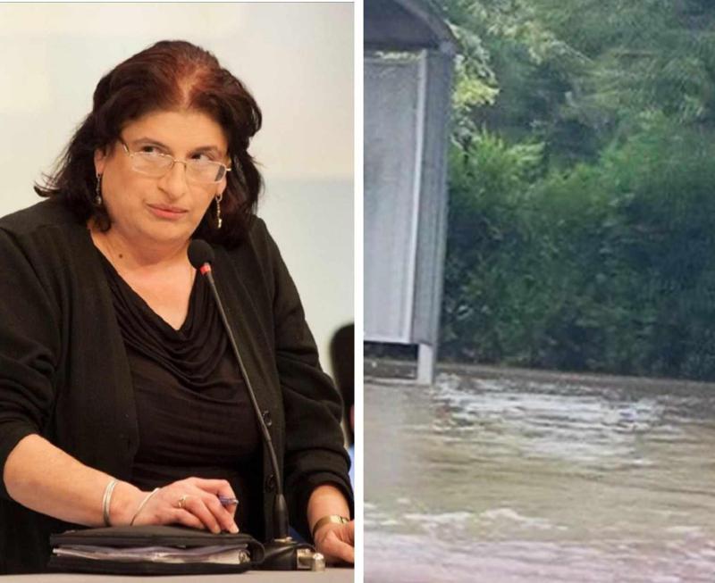 "2023 წელი პრობლემური იყო, 2024 არანაკლები იქნება კლიმატის ცვლილებებთან მიმართებით. უნდა ველოდოთ, უფრო მეტ მეწყერს, უფრო მეტ წყალდიდობას..." - ნინო ჩხობაძე