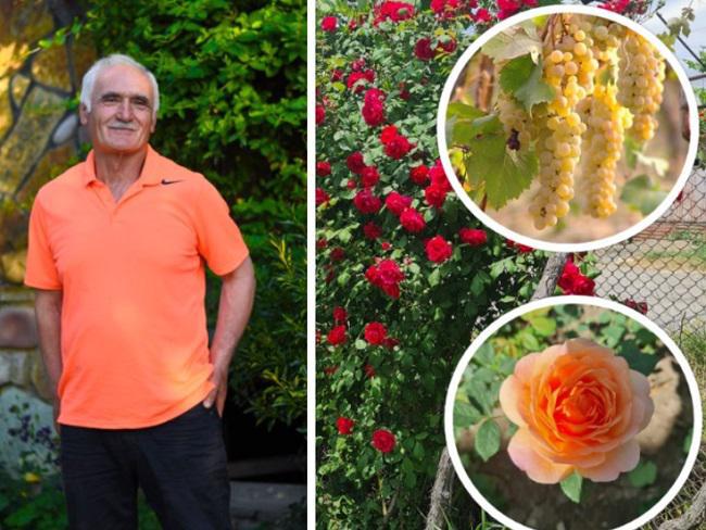 "საოკუპაციო ხაზი ჩემი ვენახიდან 100-150 მეტრში გადის. განცდები, ბუნებრივია, არის, მაგრამ ეს ჩემი გამოწვევაცაა" - ცხოვრება მავთულხლართების საზღვარზე - ჟურნალისტი და ფერმერი მეჯვრისხევიდან: ულამაზესი ბაღ-ვენახი და მეურნეობა