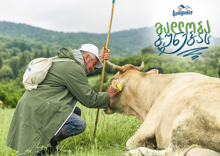 ბუნება შენი მეგობარია, შენც გახდი ბუნების მეგობარი