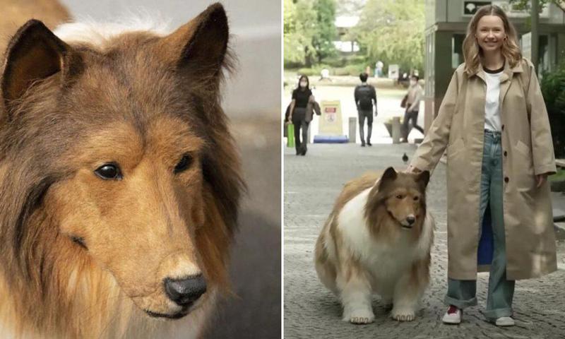 იაპონელმა კაცმა, რომელსაც ბავშვობიდან ძაღლად გადაქცევა სურდა, ოცნება 14 000 დოლარად აისრულა - "ყოველთვის მინდოდა, ძაღლი ვყოფილიყავი"