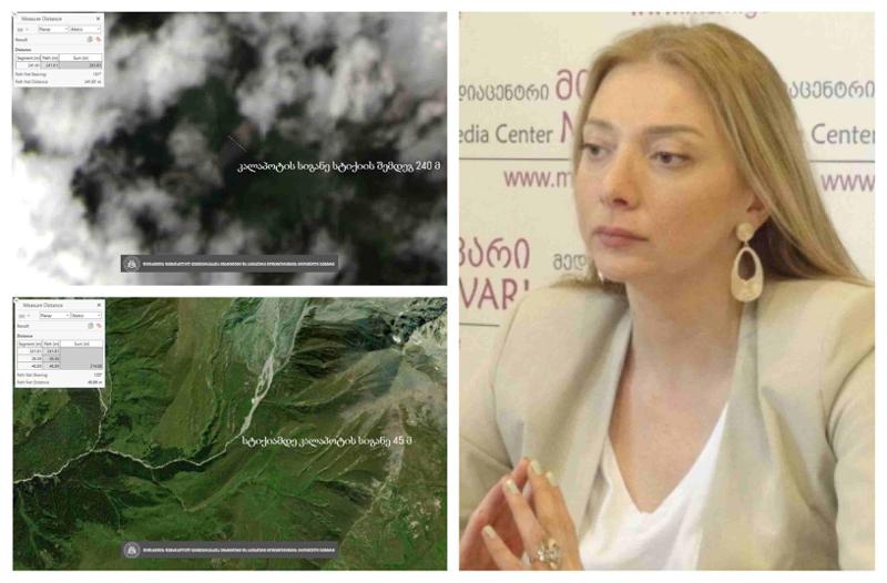 "ამ სურათებზე მყისიერი წვდომა რომ გვქონოდა, გავცემდით განგაშის სიგნალს!" - რა კადრებს აქვეყნებს თეა გოდოლაძე?