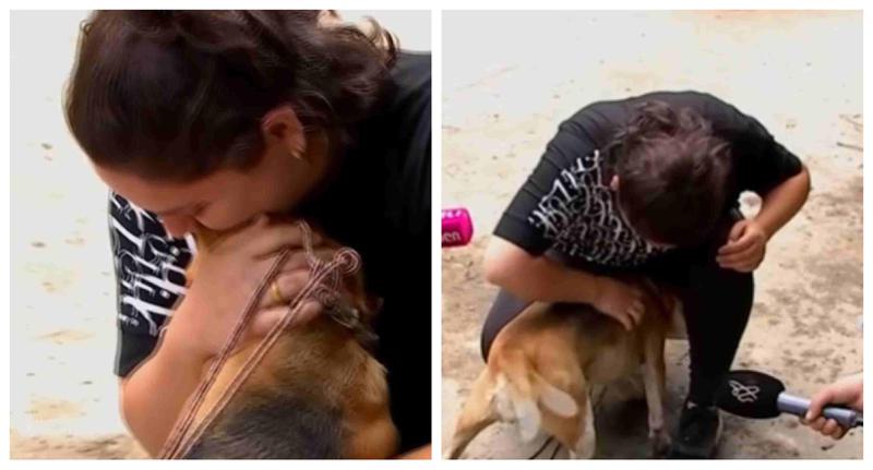 "ეს ერთი დამრჩა, ეს ძაღლი არ ვიცი, როგორ გადარჩა" - მარიტა გუტაშვილი, რომელიც მეწყრის შემდეგ მთელ ოჯახს ეძებს: ემოციური ვიდეო შოვიდან