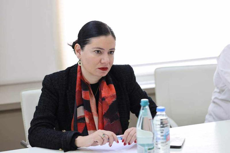 "მაშინ, როდესაც დღე და ღამე შოვში სტიქიის სალიკვიდაციო რთული სამუშაოები მიმდინარეობს, პარალელურად, სამწუხაროდ, არაერთ ცრუ ინფორმაციაზე გვიწევს რეაგირების მოხდენა" - რას წერს ნინო გიორგობიანი