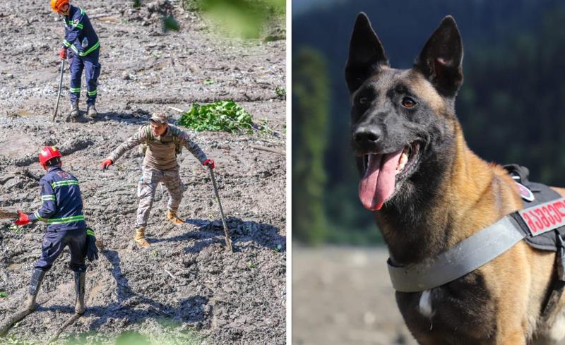 სამაშველო სამუშაოების მეოთხე დღე შოვში - რა ინფორმაციას ავრცელებს შსს (ფოტოები)