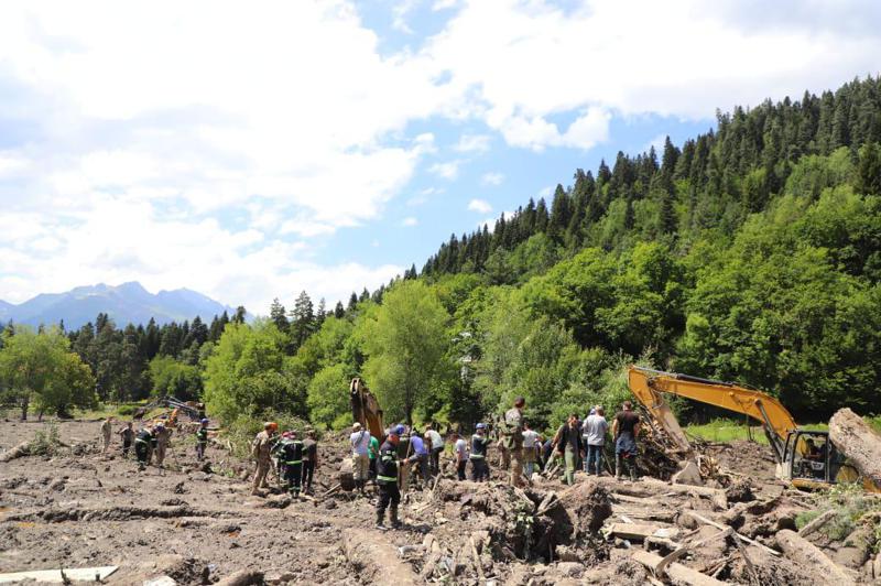 "გამომძიებელი მირიან ჭელიძე სტიქიის ზონაში წესრიგს  იცავდა, რა დროსაც შეუძლოდ გახდა და გარდაიცვალა" - შსს