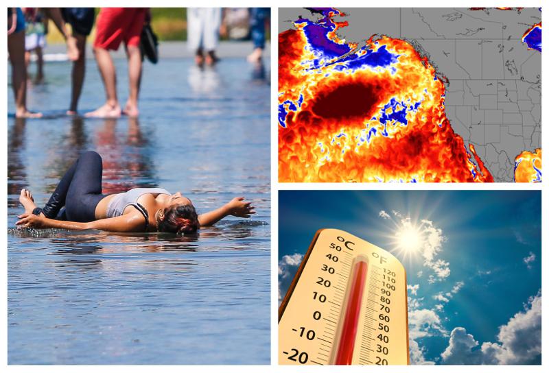 "ეს პროცესი გაგრძელდება როგორც საქართველოში, ასევე მთელ კავკასიაში" -  სინოპტიკოსის პროგნოზი: რამდენ ხანს გასტანს გაუსაძლისი სიცხე და რას უნდა ველოდოთ "თბური ტალღის" დროს