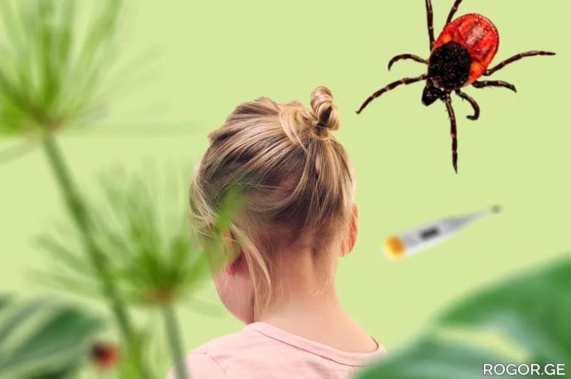 როგორ დავიცვათ ბავშვი ტკიპებისგან აგარაკზე და ტყეში?