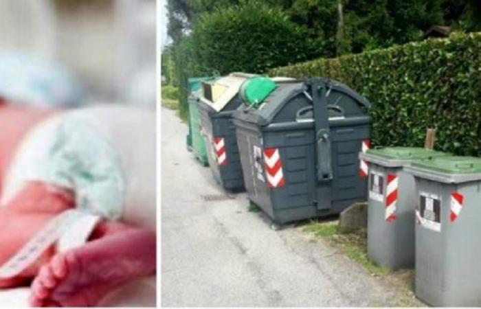 ქართველ დედას, რომელმაც ახალშობილი იტალიაში, ნაგვის ურნებთან დატოვა, ბავშვის დაბრუნება სურს - როგორც ირკვევა, მან იმ სახლის აბაზანაში იმშობიარა, სადაც მუშაობდა