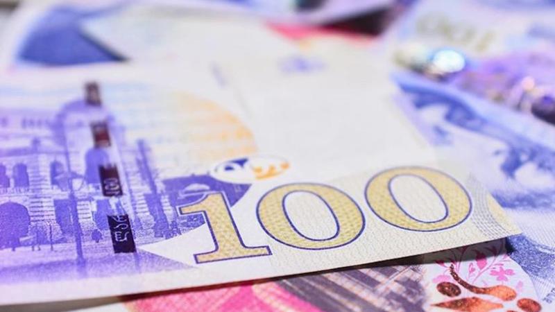 ლარი დოლართან მიმართებით გამყარდა და ევროსთან მიმართებით გაუფასურდა - როგორი იყო კვირის დინამიკა