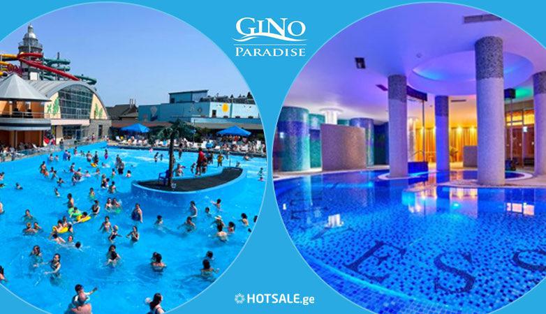 ცხელი ზაფხულის უფრო ცხელი ფასი „ჯინოს“ სერვისებზე, სპეციალურად hotsale.ge-ის მომხმარებლისთვის