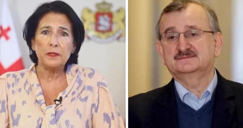 "მთავრობას არავინ ეკითხება, პრეზიდენტი სად წავა" - რომან გოცირიძე