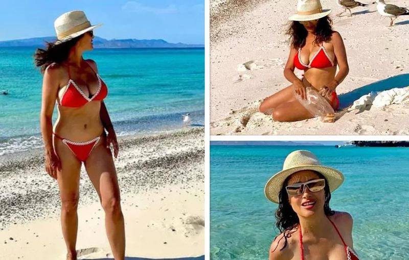 57 წლის სალმა ჰაიეკი წითელ საცურაო კოსტიუმში და მტკიცებულება, რომ ასაკი მხოლოდ ციფრებია - მსახიობის "ცხელი ფოტოსესია"