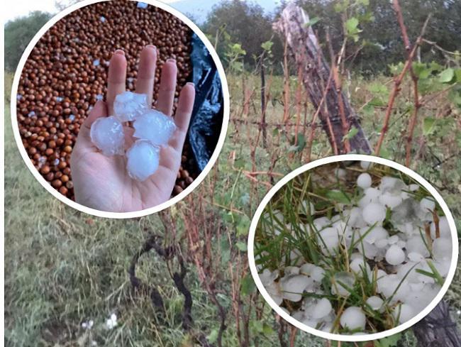 რა ვითარებაა კახეთში სტიქიის შემდეგ: რეგიონში მიყენებულ ზარალს ითვლიან - 4 მუნიციპალიტეტიდან უმძიმესი მდგომარეობა ახმეტის სოფლებშია