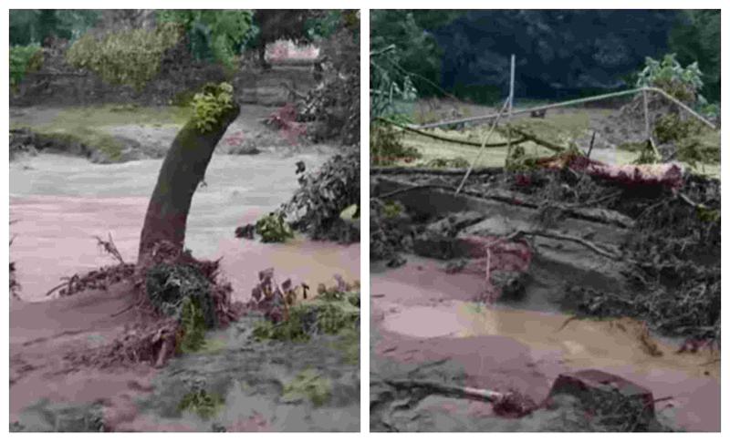 "გარესამყაროს მოწყდა ჩემი დედ-მამა, 2 მცირეწლოვან ბავშვთან ერთად" - რას წერს მოქალაქე ლანჩხუთის მუნიციპალიტეტიდან?