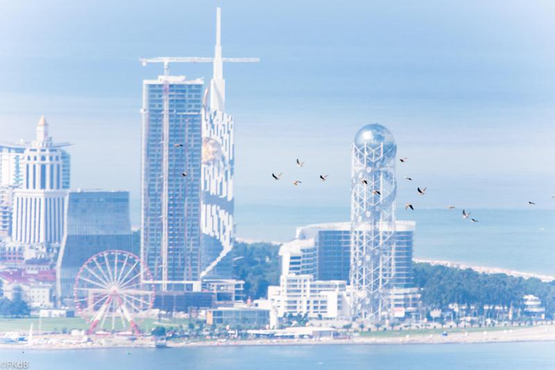 ფრინველებზე დაკვირვების ფესტივალის სტუმრები გასვლით ტურებში მიიღებენ მონაწილეობას