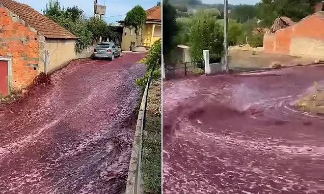 პორტუგალიაში, ქალაქი ლევირა დაიტბორა, ოღონდ ღვინით... - უცანური სანახაობა: წითელი მდინარე ქუჩებში