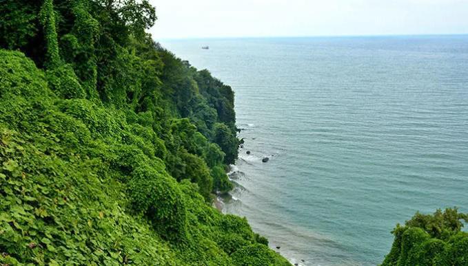 რას ითვალისწინებს კანონპროექტი საქართველოს ტერიტორიულ ზღვაში შექმნილი ხელოვნური კუნძულების ექსპლუატაციასთან დაკავშირებით, რომელიც მთავრობამ პარლამენტს წარუდგინა?
