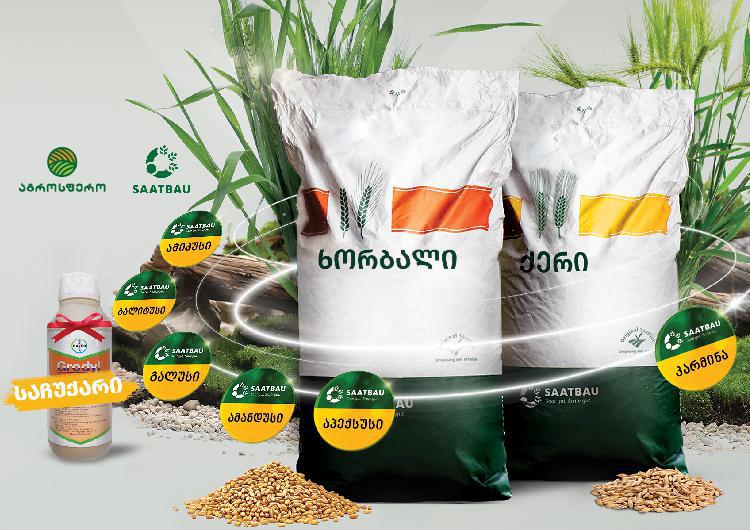 როგორ მივიღოთ ხორბლის ხარისხიანი მოსავალი? – რეკომენდაციები სპეციალისტისგან