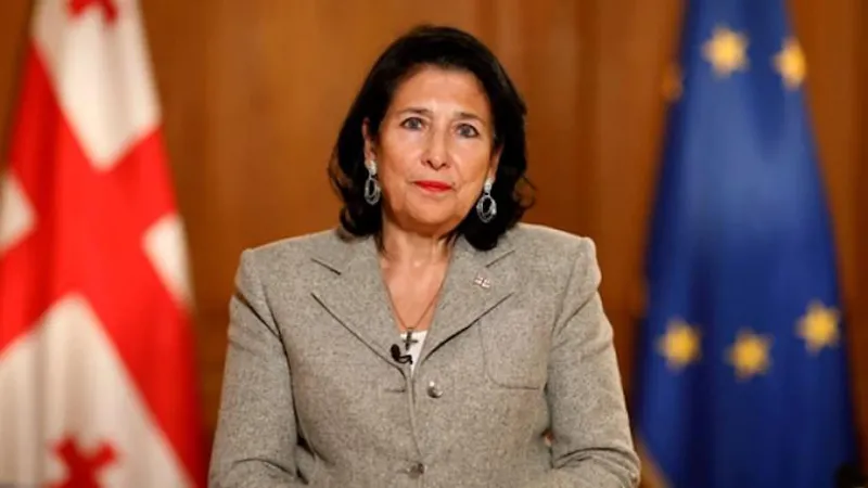 "პრეზიდენტთან ოთარ ფარცხალაძის საქართველოს მოქალაქეობაზე არანაირი დოკუმენტი არ გადმოგზავნილა" - პრეზიდენტის ადმინისტრაცია