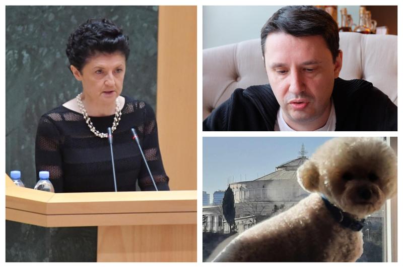 რატომ ილაპარაკა წულუკიანმა პუდელზე პარლამენტში და რას წერს  პატრონი ძაღლისა, რომელიც პუდელი არ აღმოჩნდა