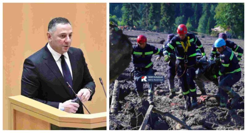 "ცხედრები იმდენად იყო დაზიანებული, რომ გამორიცხულია გარდაცვალება მომენტალურად არ დამდგარიყო" - გომელაური შოვის ტრაგედიაზე