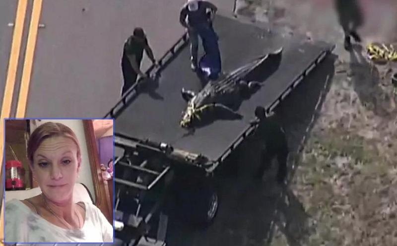 უმძიმესი შემთხვევა ფლორიდაში - ალიგატორის ხახაში 41 წლის ქალის ცხედრის ნარჩენები იპოვეს