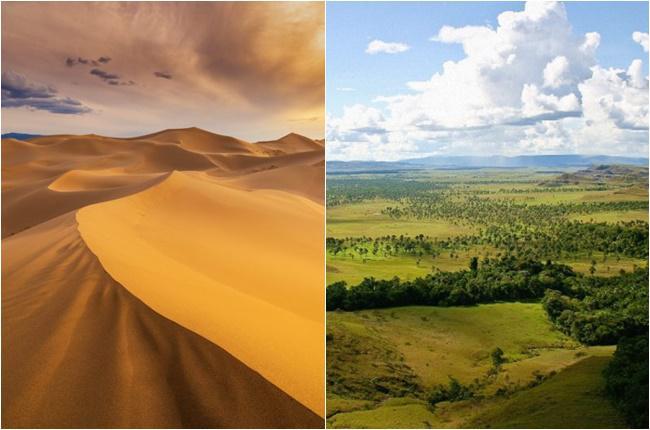 ტყეები, სავანა და ჰიპოპოტამები: მეცნიერებმა საჰარას უდაბნოს მრავალი ათასი წლის წინანდელი კლიმატის მოდელირება შეძლეს