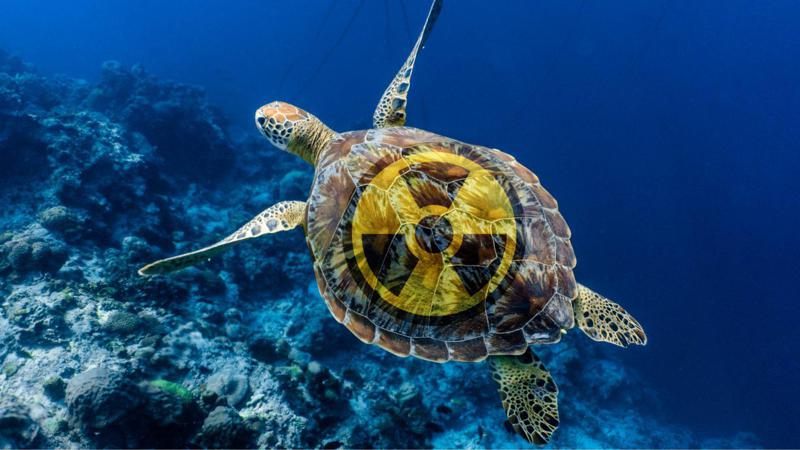 4 რადიოაქტიური ცხოველი დედამიწაზე - "ბუნება არაფერს ივიწყებს"