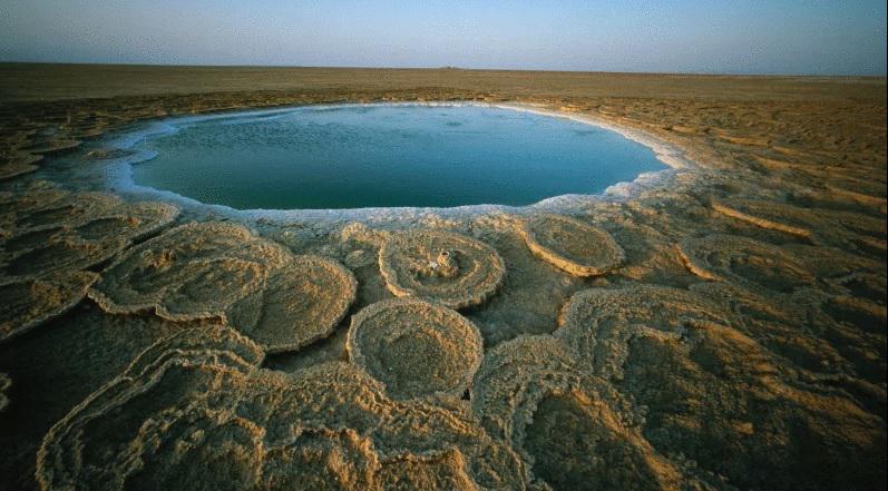 დანაკილის უდაბნო - ერთ-ერთი ყველაზე ნაკლებად შესწავლილი ადგილი დედამიწაზე და მეცნიერების ნაპოვნი სიცოცხლე გარემოში, რომელიც სიცოცხლისთვის შეუთავსებლად მიიჩნეოდა