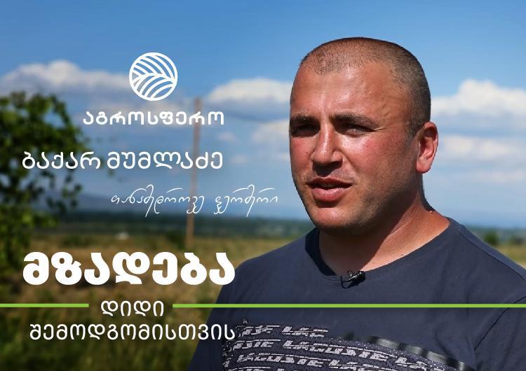 "სულ ვცდილობთ, რომ რაღაც ახალი დავნერგოთ, რითაც გავზრდით მოსავალს და ჩვენი ხორბლის ხარისხს“ - ბაქარ მუმლაძე