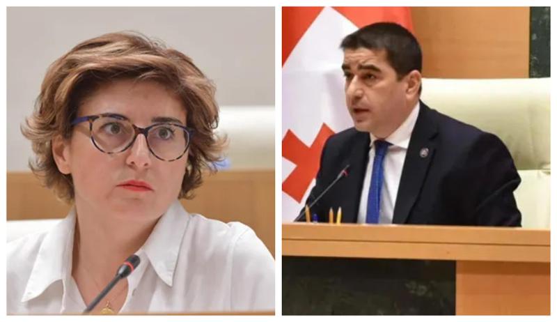 "Powerpoint-ის პრეზენტაციის იქით სიღრმეში წადით, წიგნები წაიკითხეთ" - პაპუაშვილი სამნიძეს