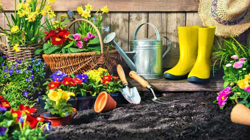 8-14 ოქტომბრის საოჯახო საქმეების კალენდარი