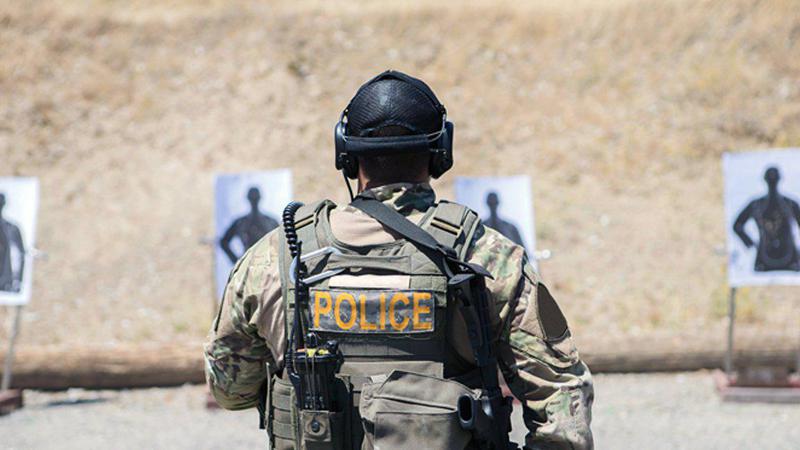 ისრაელში კიდევ ერთი, წარმოშობით ქართველი სამართალდამცავი დაიღუპა