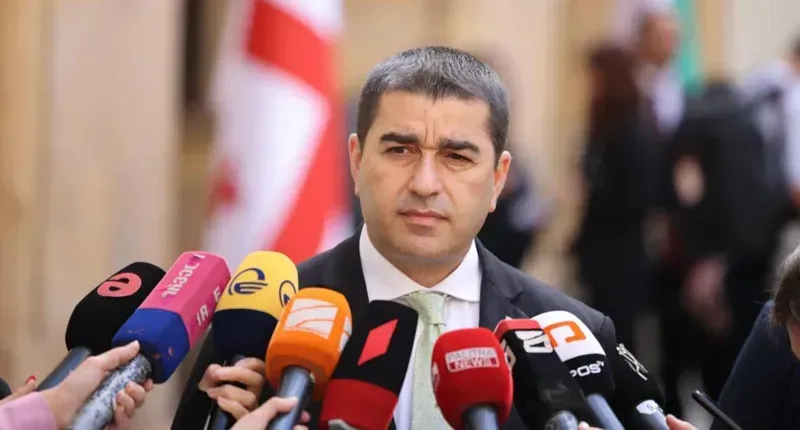 "იმის მოლოდინი არ გვაქვს, რომ 12-ვე რეკომენდაცია 100%-ით შესრულებულად გამოცხადდება, მაგრამ მოლოდინია, რომ 3-ზე მეტი რეკომენდაცია ჩაითვლება შესრულებულად" - პაპუაშვილი