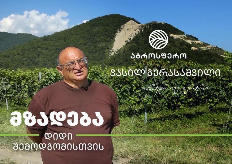 "თანამედროვე სოფლის მეურნეობა მექანიზაციის გარეშე გამორიცხულია" – ვასილ გურასაშვილი