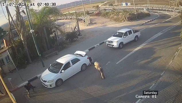 ისრაელელი ქალები "ჰამასის" შეიარაღებულ რვა პირს სასწაულებრივად დაუსხლტნენ - როგორ გადაურჩა ორი ქალი სიკვდილს