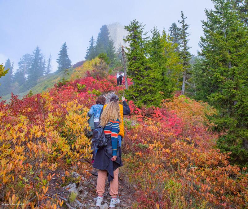 ხიხანის ციხის ახალი ტურისტული ბილიკი მოგზაურების მისაღებად მზადაა