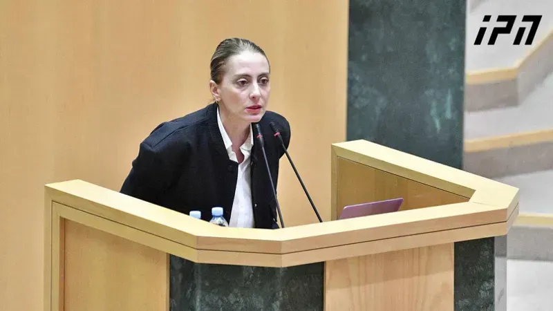 "თქვენ ხართ ადამიანები, რომლებსაც არავითარი პრინციპი კი არა, თავმოყვარეობაც არ გაგაჩნიათ - თუ ბიძინა ივანიშვილი ვარდისფერზე იტყვის, რომ შავია, იტყვით, რომ შავია" - დეკანოიძე უმრავლესობას