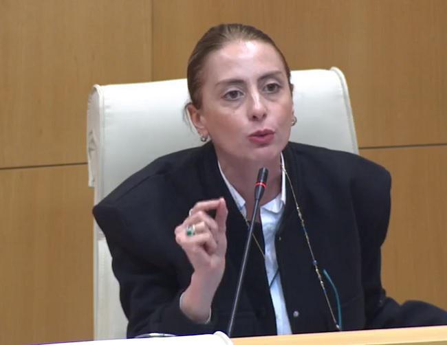 "შეწყვიტეთ პრეზიდენტის იმპიჩმენტის სამარცხვინო პროცესი, ეს არის ძალიან მძიმე საქართველოს რეპუტაციისთვის" - ხატია დეკანოიძე უმრავლესობას