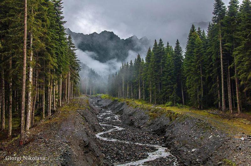 რაჭაში იგეგმება, რომ შეიქმნას განსაკუთრებული დაცულობის სტატუსის ტერიტორია - რას აპირებს კონკრეტულად გარემოს დაცვის სამინისტრო?
