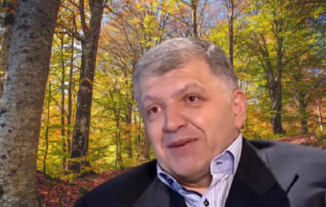 რაჭაში, დავით ხიდაშელის კომპანიისთვის გადაცემული ტყე შესაძლოა სახელმწიფოს დაუბრუნდეს - რას აცხადებენ ხელისუფლებაში?