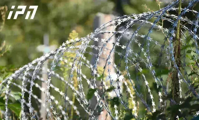 "ოკუპირებულ სოფელ სინაგურის მიმდებარედ რუსეთის საოკუპაციო ძალების წარმომადგენლებმა საქართველოს მოქალაქე უკანონოდ დააკავეს" - სუს-ი