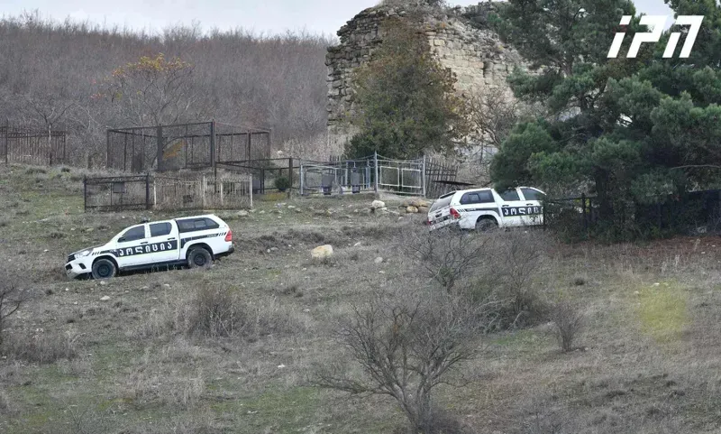 "ამბობენ, ორი ტყვია აქვს მოხვედრილიო...  ოკუპანტები ცხრანი ყოფილან და თამაზის მანქანა თვითონ ჩამოუგორებიათ" - ადგილობრივი კირბალში ოკუპანტების მიერ მოკლულ თამაზ გინტურზე