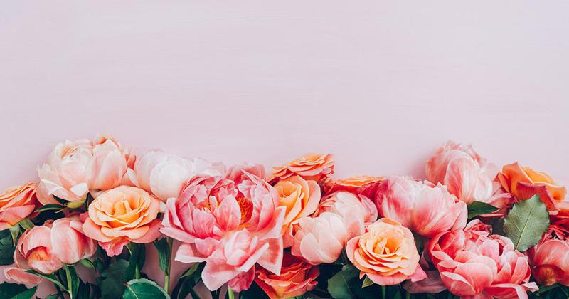 ყვავილები ზოდიაქოს ნიშნის მიხედვით