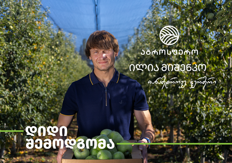"ფერმერობაში მომწონს ის, რომ პროცესი ძალიან მგრძნობიარეა" – როგორ მოჰყავს ილია მიშენკოს საუკეთესო ვაშლი