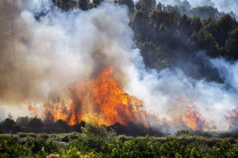 ისტორიაში ყველაზე თბილი ოქტომბერი დაფიქსირდა: დედამიწის ზედაპირის საშუალო ტემპერატურა საგრძნობლად გაიზარდა - რას ამბობენ მეცნიერები?