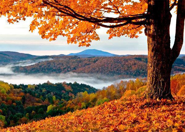 რას გვიმზადებენ ვარსკვლავები: 13-19 ნოემბრის ასტროლოგიური პროგნოზი