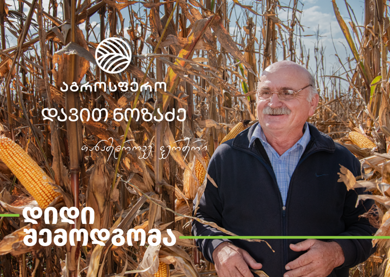 „მოსავლის აღება ძალიან დიდი სიამოვნებაა, სიხარულია“ – როგორ იმკის მთელი წლის შრომის ნაყოფს დავით ნოზაძე